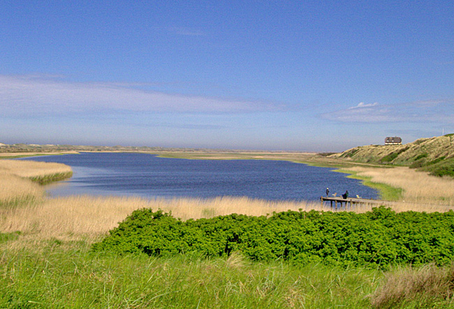 002 ringkobing fjord