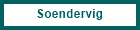 Soendervig