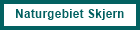 Naturgebiet Skjern