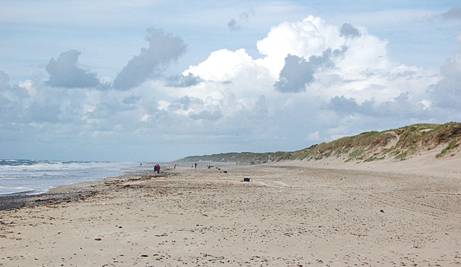 strand holmsland klit 01