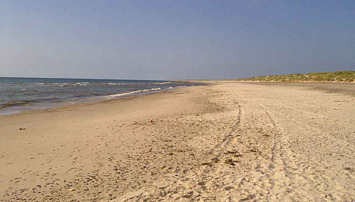 ringkobing fjord neu 004