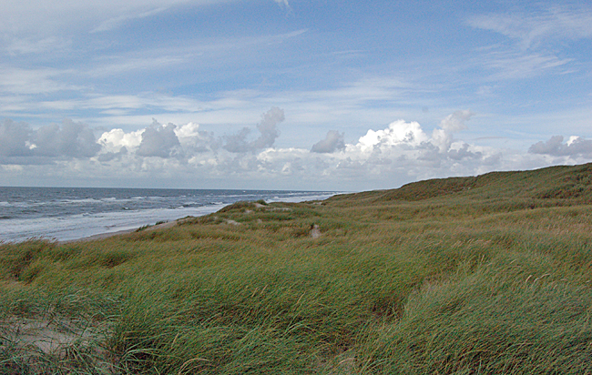 strand holmsland klit 02