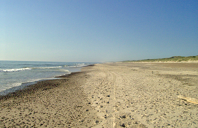 strand holmsland klit 04