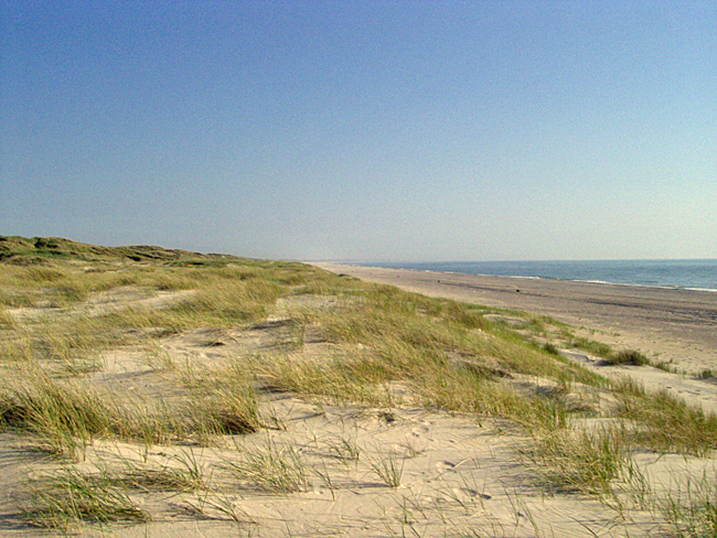 strand holmsland klit 05