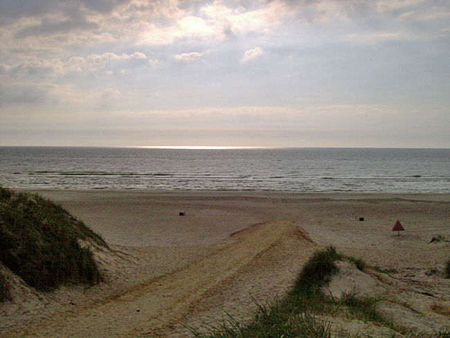 strand holmsland klit 06