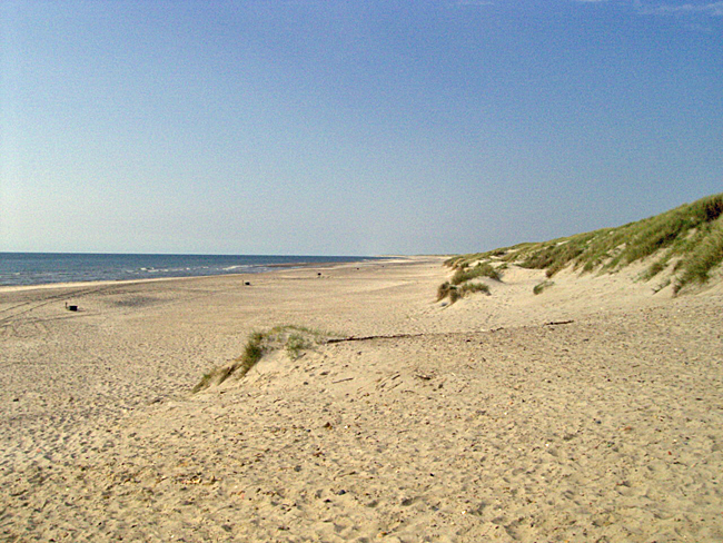 strand holmsland klit 08